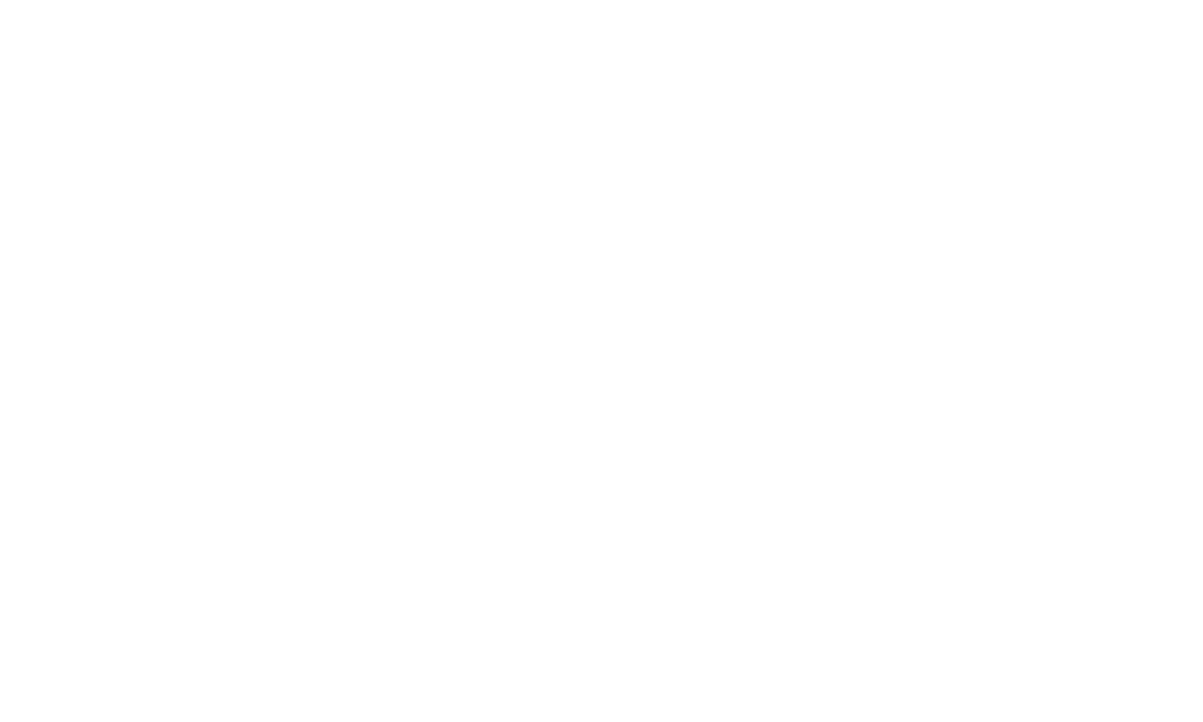 Solo Crawling Logo